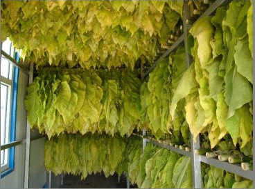 成都烟草烘干